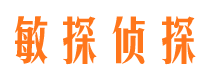 丹寨调查事务所